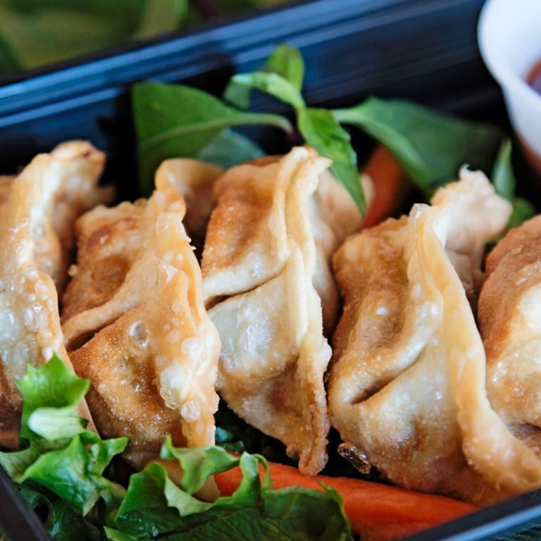 Savor Our Dumplings